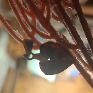 Small Resin Heart Pendant